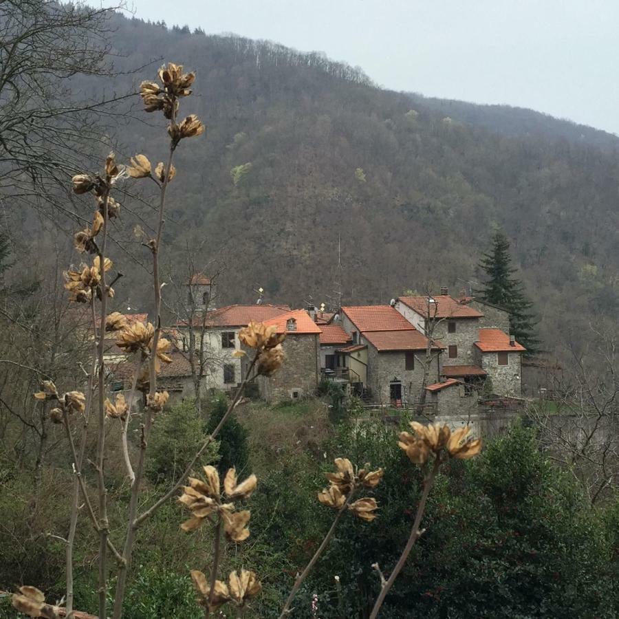 B&B Il Ghiro Castiglioni  Экстерьер фото