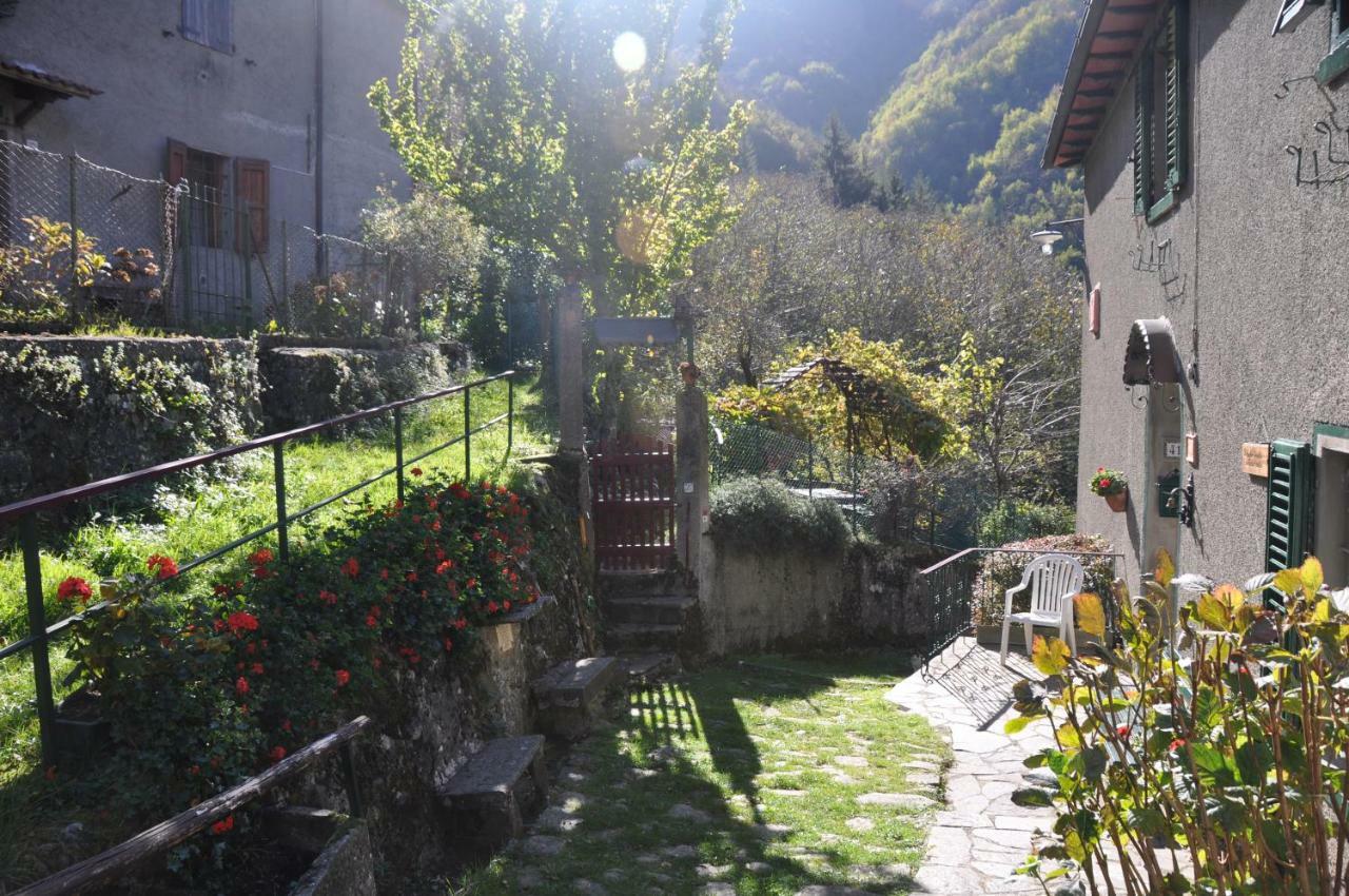B&B Il Ghiro Castiglioni  Экстерьер фото