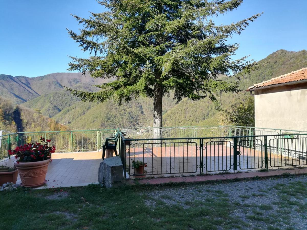 B&B Il Ghiro Castiglioni  Экстерьер фото
